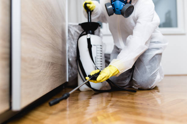 Best Cockroach Control Services  in Mked Tree, AR