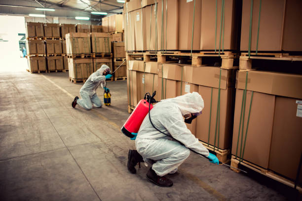 Best Pest Inspection Near Me  in Mked Tree, AR