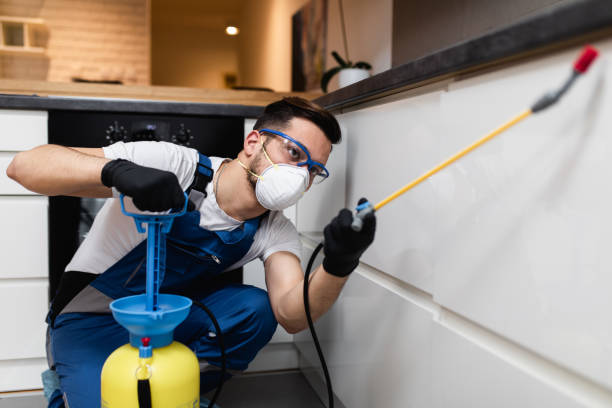 Best Mosquito Control Services  in Mked Tree, AR