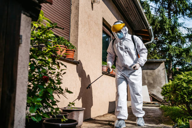 Best Exterminator Services  in Mked Tree, AR