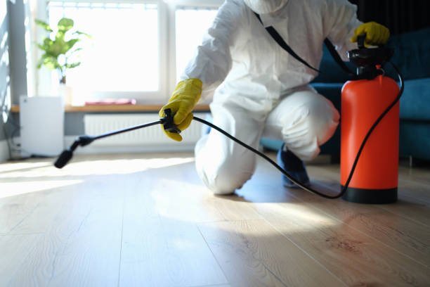 Best Emergency Pest Control  in Mked Tree, AR