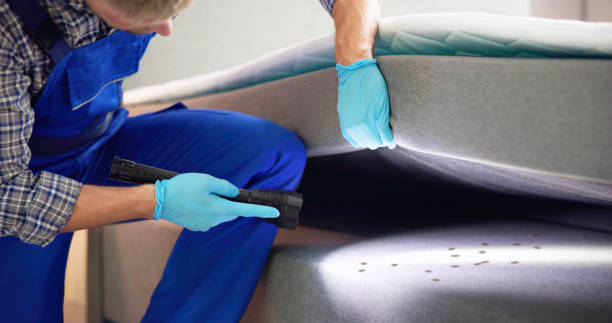 Best Best Pest Control Near Me  in Mked Tree, AR