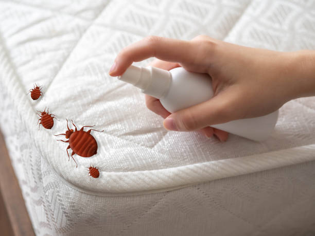Best Pest Control Near Me in Marked Tree, AR